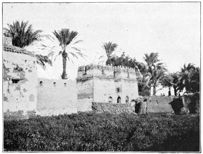 pigeon houses