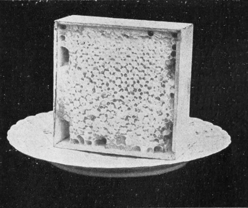 Honeycomb