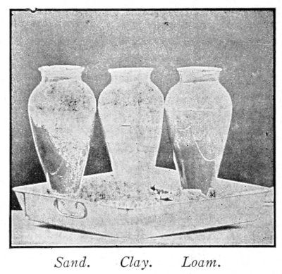 Soils