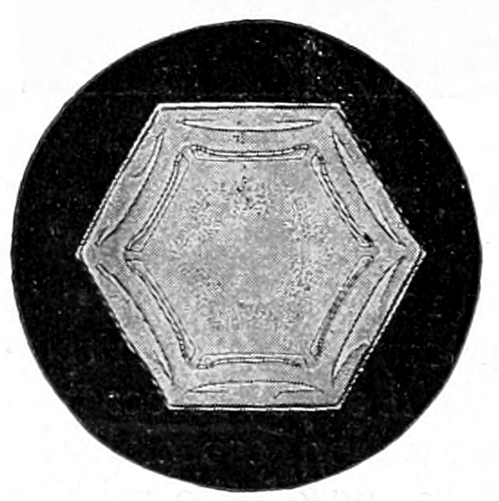 Snow crystal