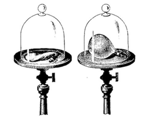 A glass bell
jar on a pump plate with a small animal (likely a bird or mouse) inside,
illustrating Boyle's classic experiment demonstrating that life
cannot be sustained in a vacuum.