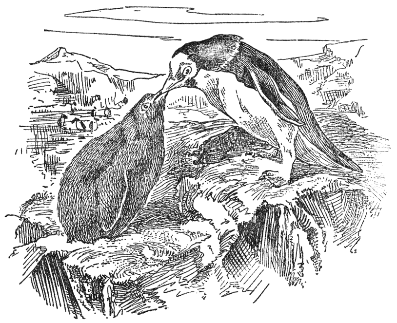 Zwartkeelpinguïn (Pygoscelis adeliae) met jong.