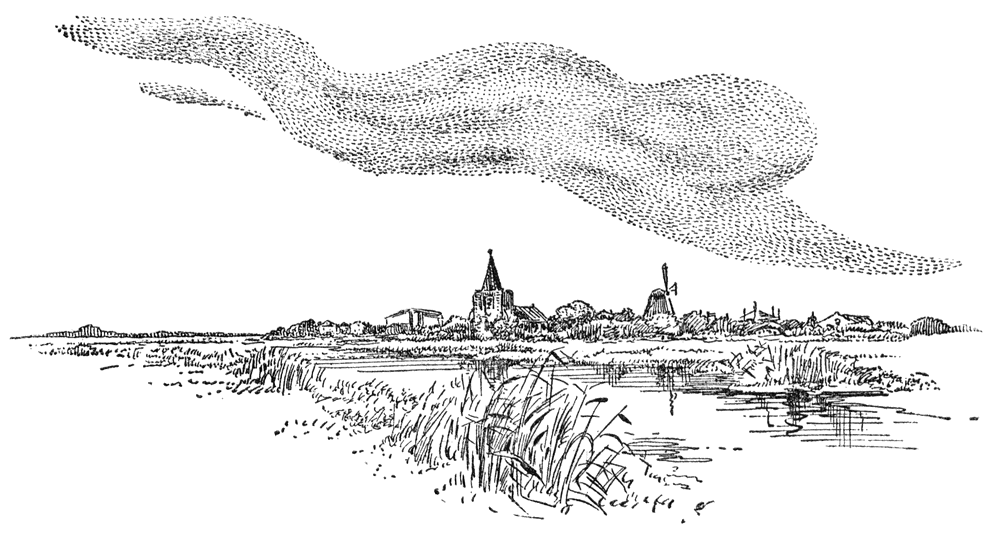 Spreeuwenwolk.