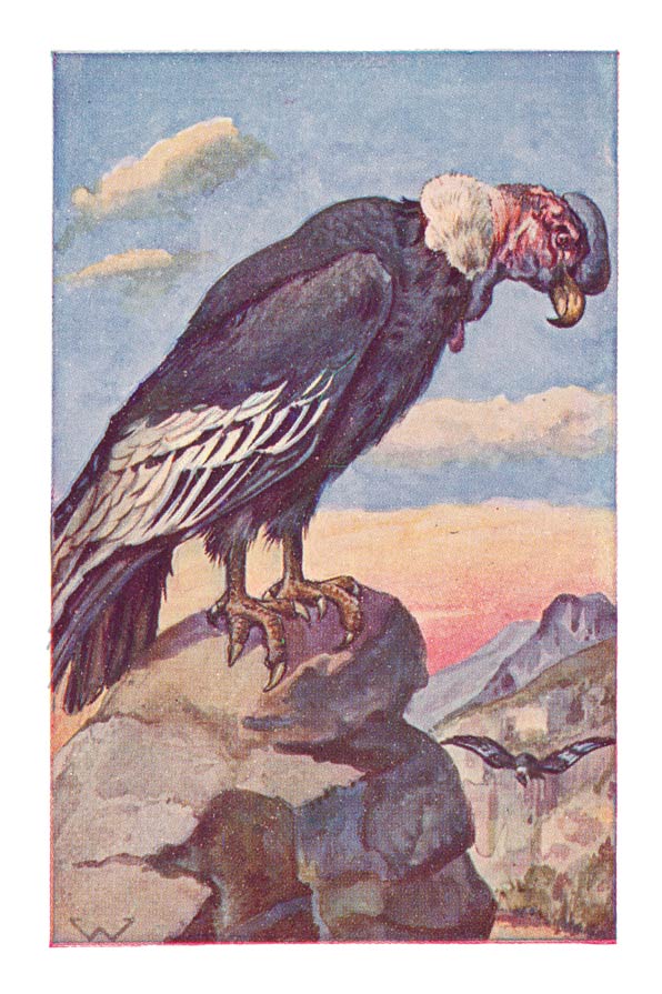 53
