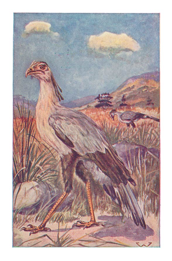 55