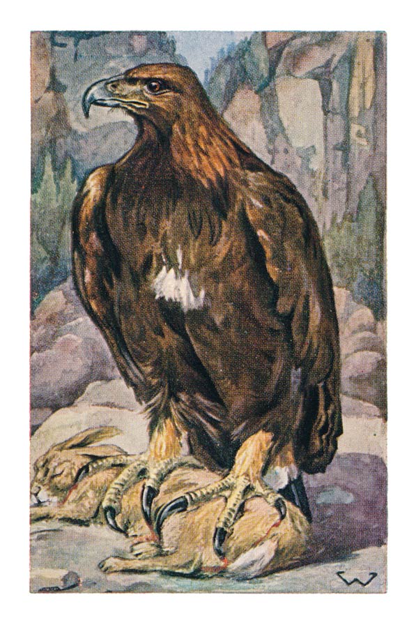 57