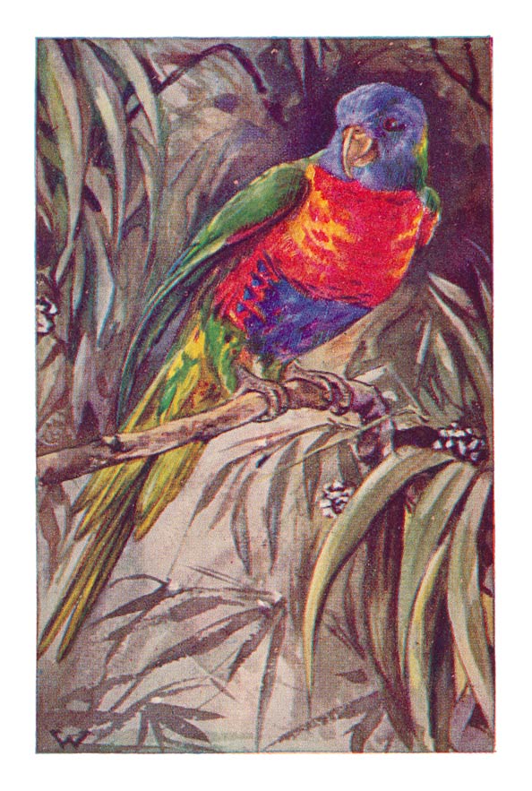 63