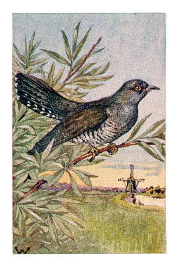 71
