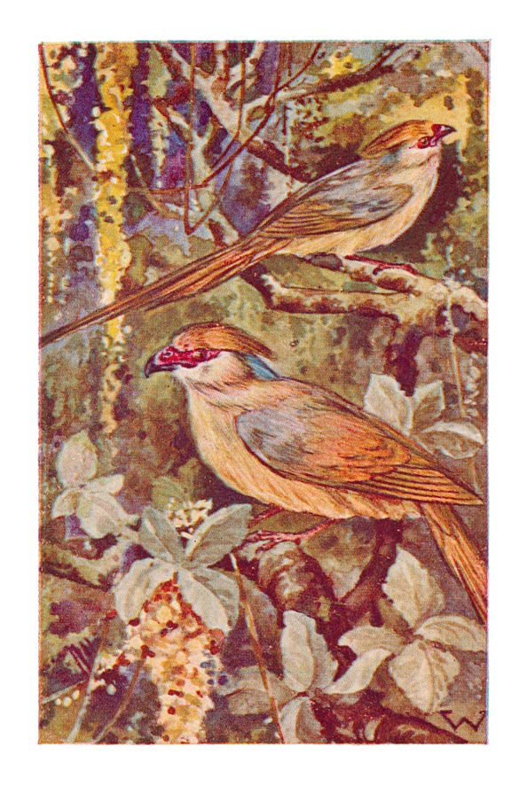 77
