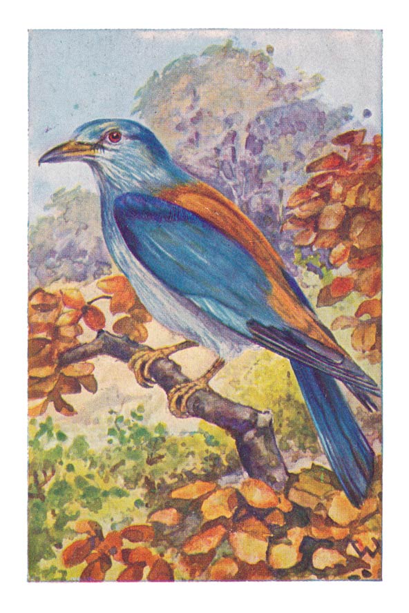 85