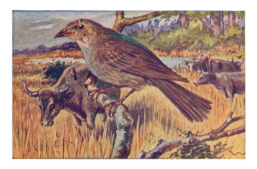110