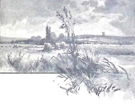 image003