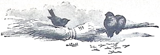 image004