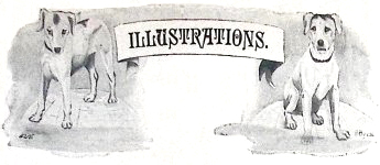 image006