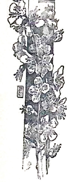image0107