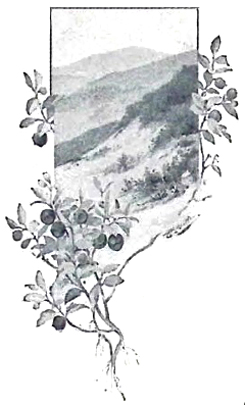image094