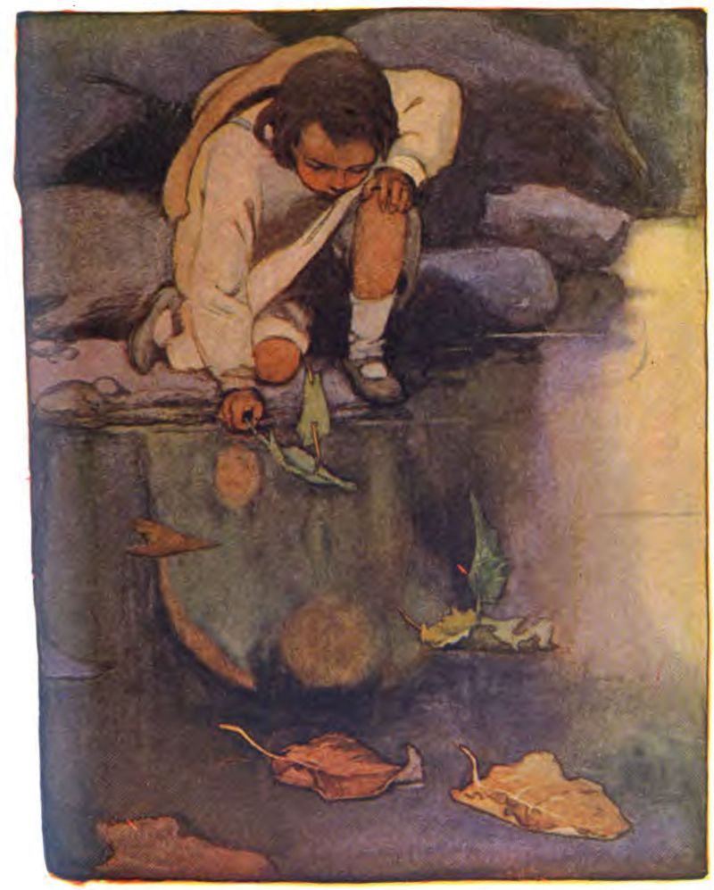 A young child with brown,
chin-length hair kneels by the water’s edge wearing a light long-sleeved shirt or tunic, short pants, white socks, dark shoes, and a hat hanging behind them. Leaning over the rocky bank, the child long-sleeved shirt or tunic, short pants, white socks, and dark shoes,
with a hat hanging behind them. Leaning over the rocky bank, the child carefully sets a small toy boat made from a green leaf and a twig mast onto the water. Other fallen leaves float on the dark murky surface like a tiny fleet of ships. The water shows a soft blurred reflection of the child leaning forward.