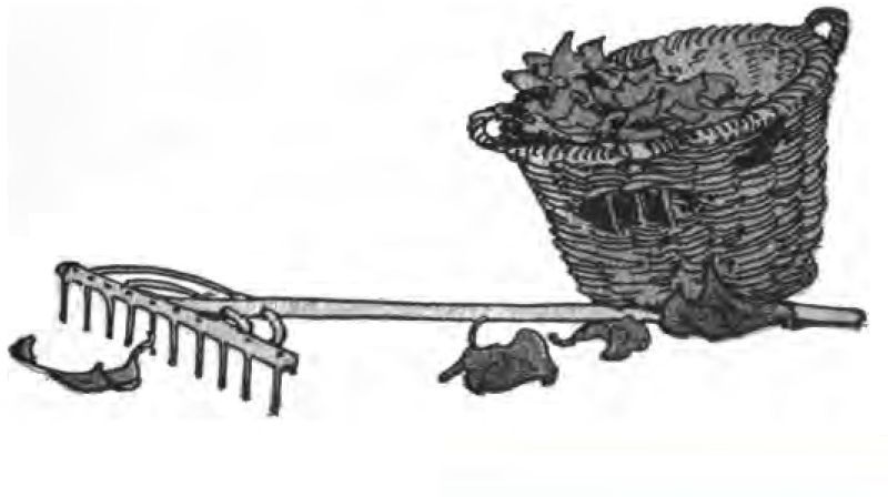 This black-and-white
drawing shows a basket and a rake with leaves scattered on the ground.
A long-handled metal garden rake rests on the ground in front of the basket,
its handle stretching out behind it. The rake’s sharp metal tines
point down toward the ground.