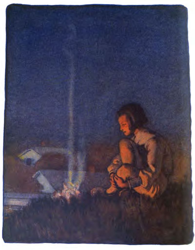 A young child sits on the
grass on the right side of the scene facing left. Their legs are tucked
up close, knees to their chest and hands wrapped around them. To the
child's left, a small campfire glows on the ground, with a thin line of white
smoke rising from the fire straight up into the dark sky.