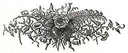 image007