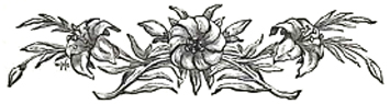 image028