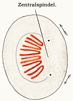 Fig. 9.