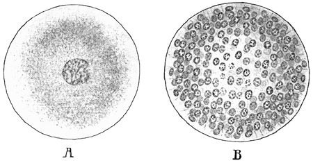 Fig. 18.