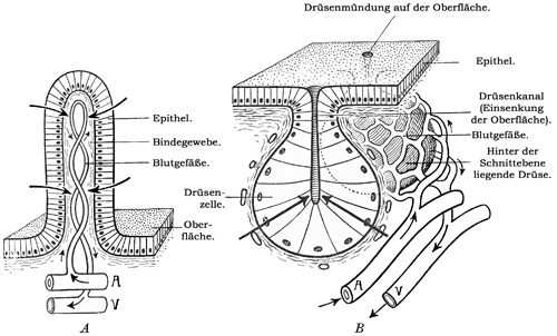 Fig. 20.