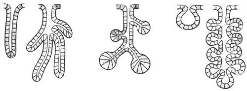 Fig. 33-37.