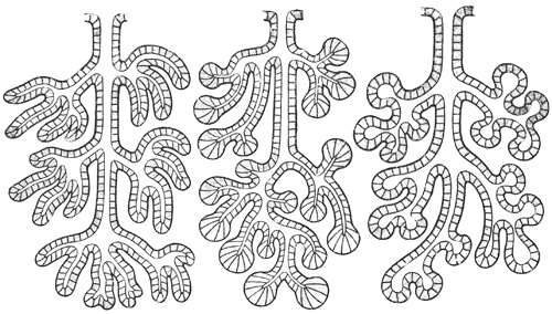 Fig. 38-40.