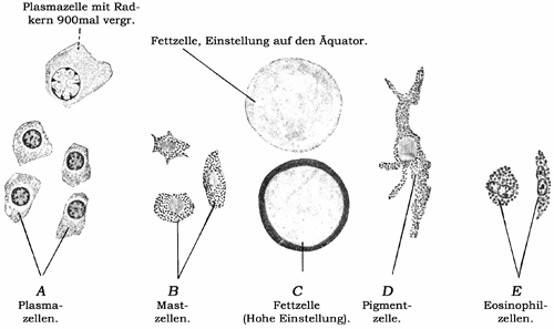 Fig. 43.