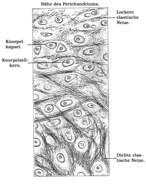 Fig. 62.
