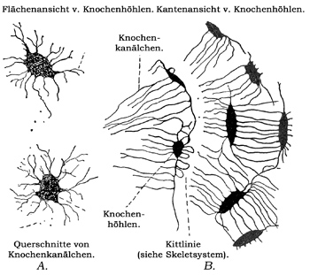 Fig. 69.