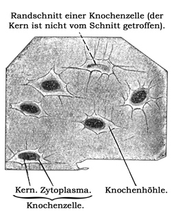 Fig. 70.