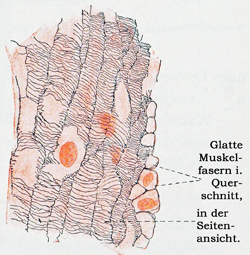 Fig. 73.