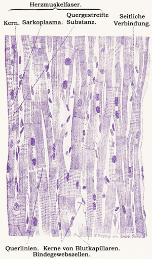 Fig. 76.