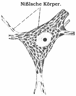 Fig. 85.