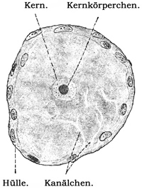 Fig. 87.