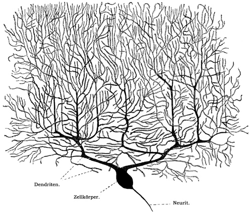 Fig. 89.