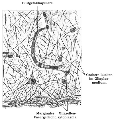 Fig. 91.