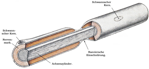Fig. 94.