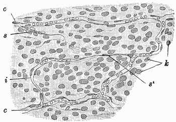 Fig. 102.