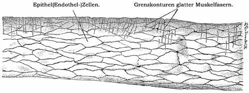 Fig. 105.