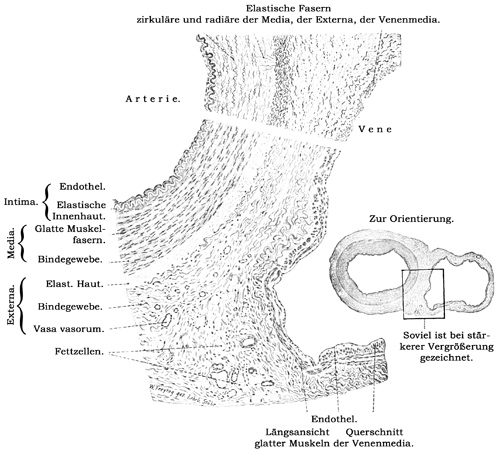 Fig. 106.