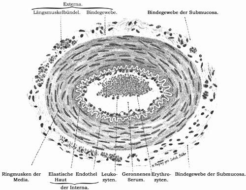 Fig. 107.