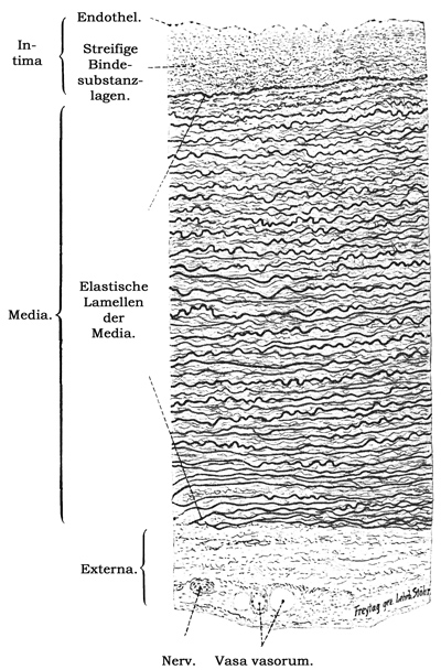 Fig. 108.