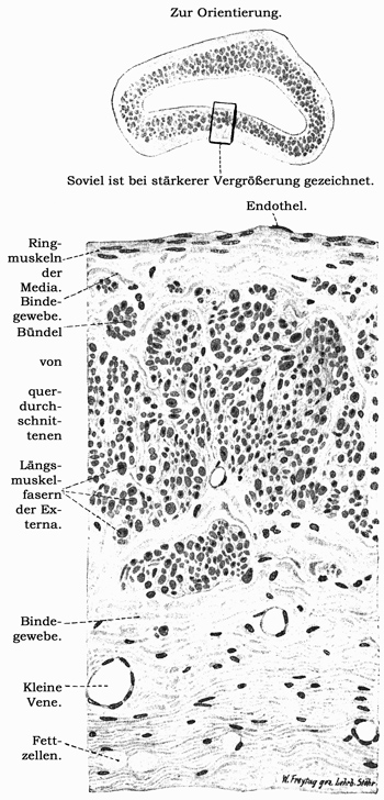 Fig. 109.