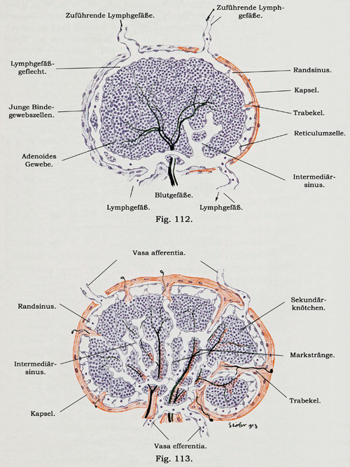 Fig. 112-113.