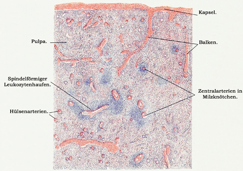 Fig. 118.