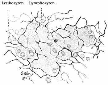 Fig. 120.